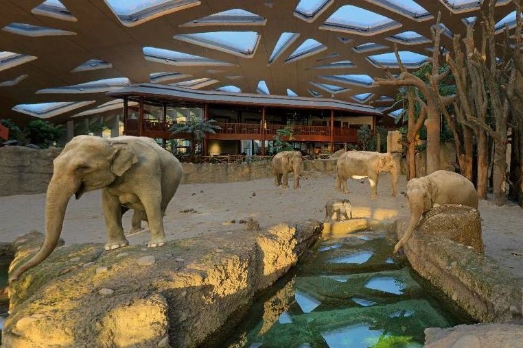 Elefantenpark Kaeng Krachan, Zoo Zürich