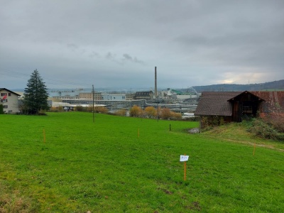 Dioxinuntersuchung in Luzern und Umgebung